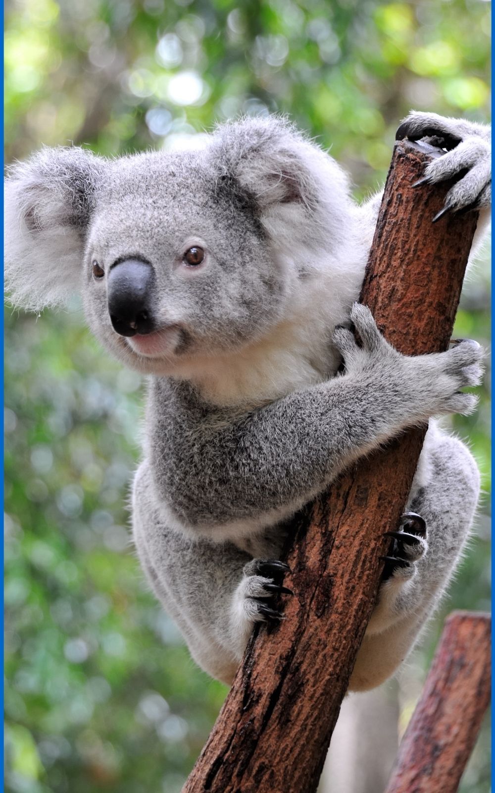 ASX COMPOSITES LLC